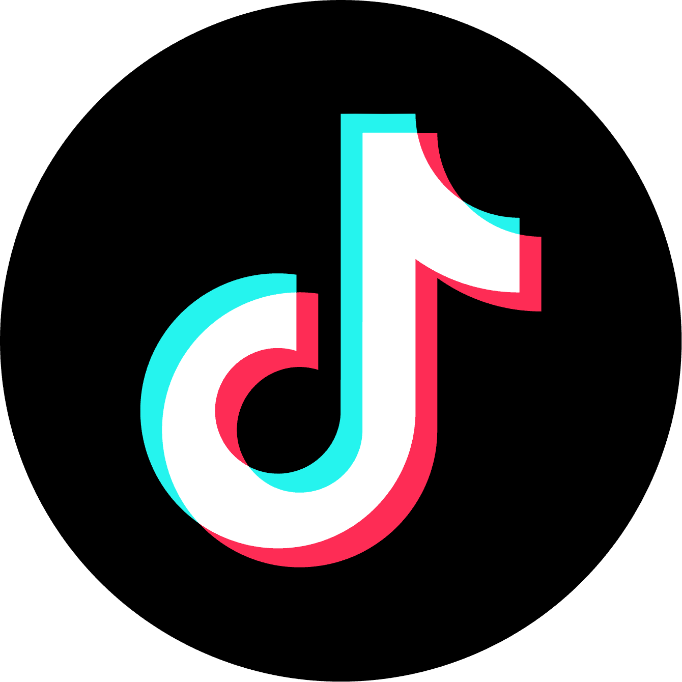 TikTok icon