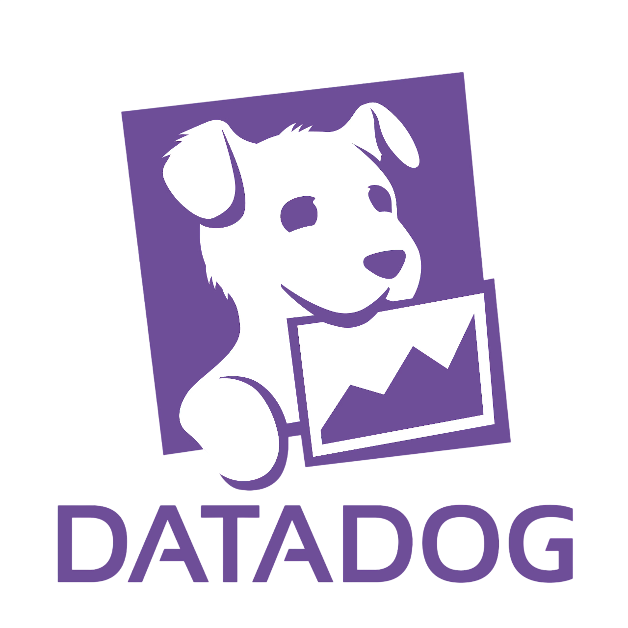 Datadog icon